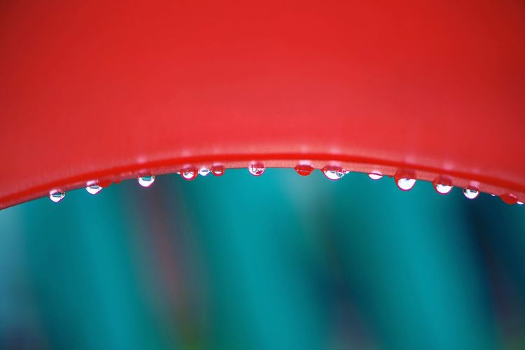 Close-up of water drops on leaf