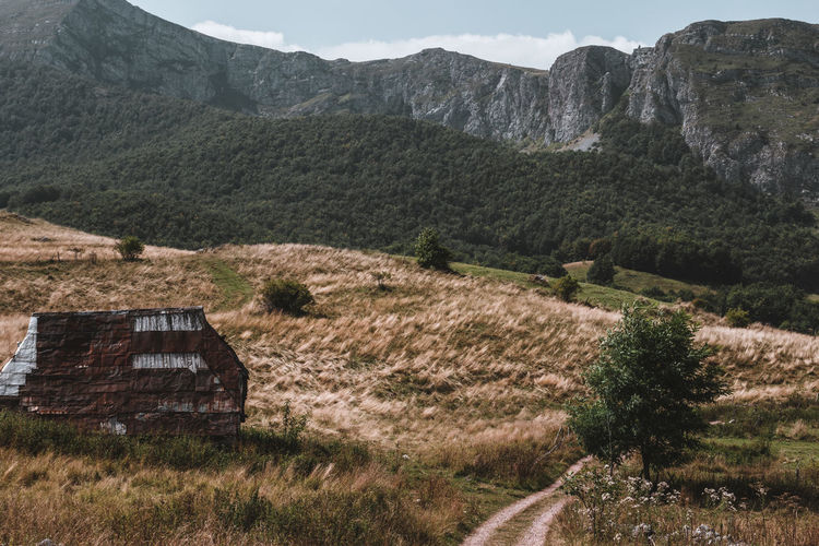Scenic view of field against mountains