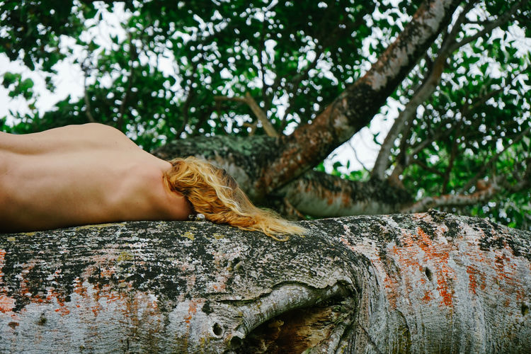 Midsection of person feeding a tree