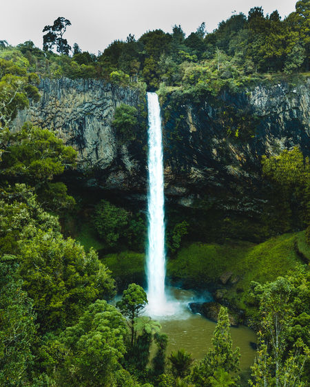 Bridal veil waterfall in raglan, new zealand from high angle 