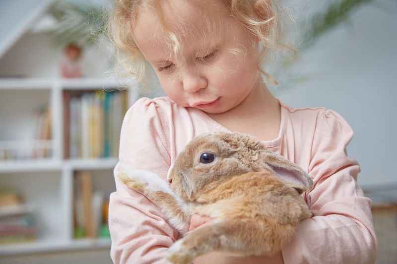 The girl keeps a domestic rabbit in the room