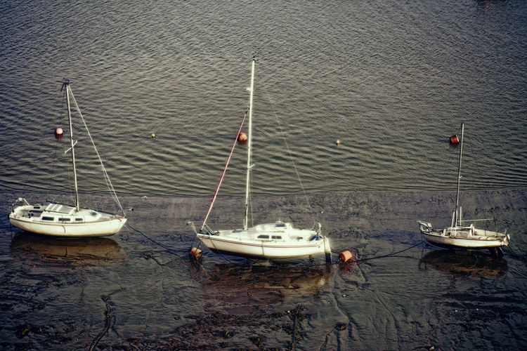 High angle view of sailboats moored in sea
