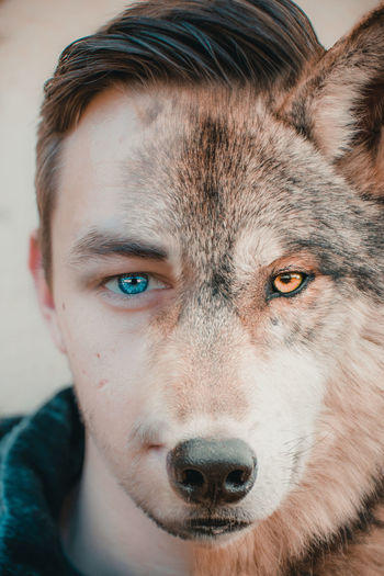 Digital composite image of man and wolf