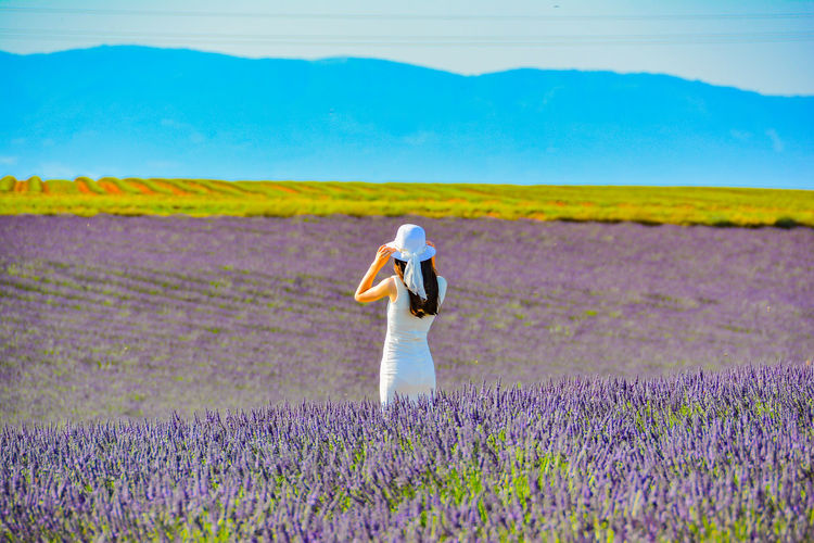 Rear view of standing on lavender field