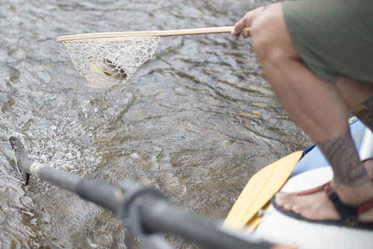 A fly fisherman pulls a brown trout from the river with a net.