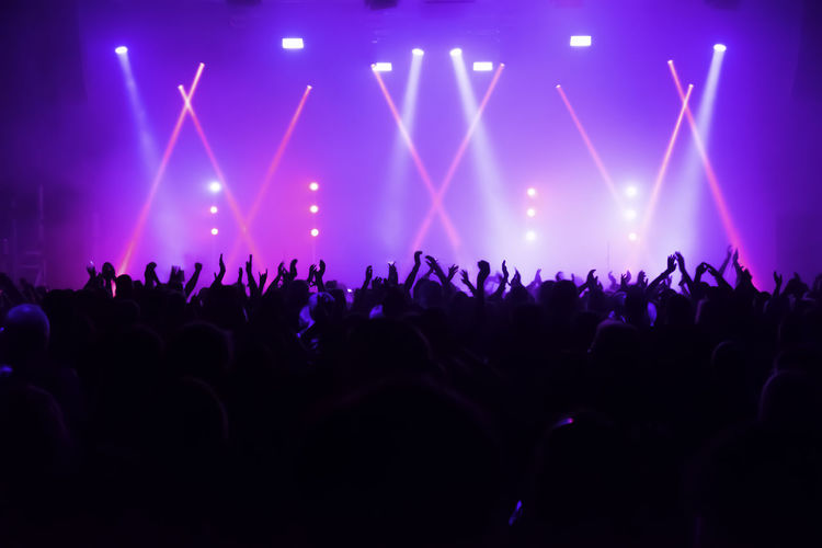 Crowd at music concert