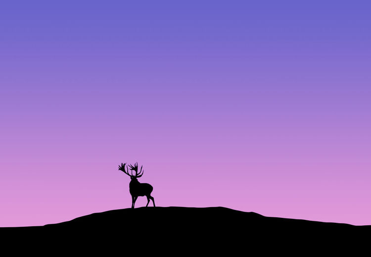 Low angle view of silhouette deer on mountain against clear sky during sunset