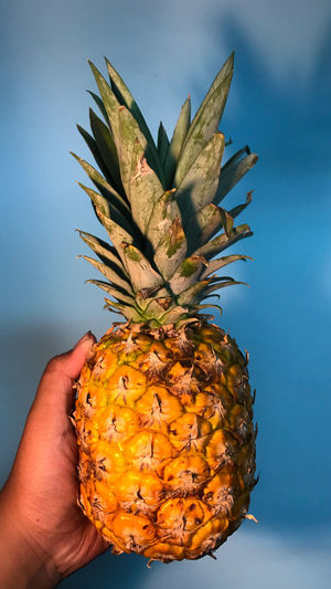 Close-up of hand holding pineapple fruit