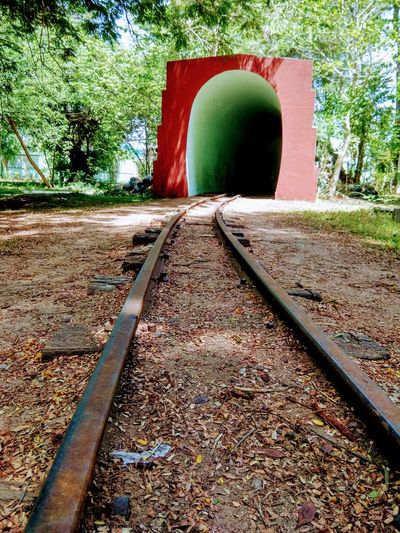 Railroad track in tunnel