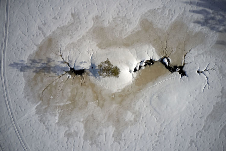 High angle view of crab on wall during winter