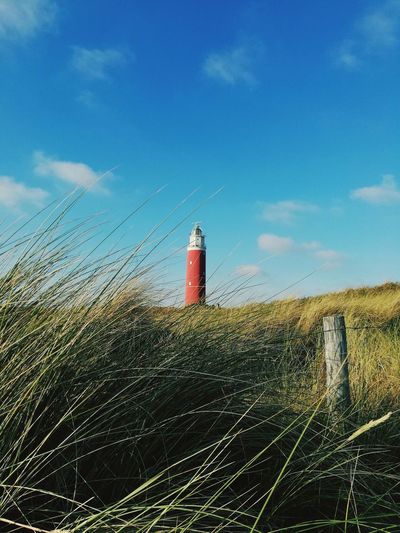 Close-up of grass with lighthouse in background against sky