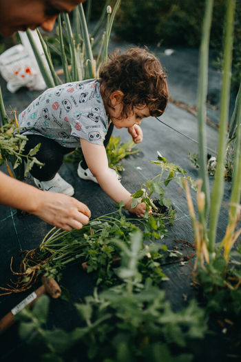 Full length of girl on gardening