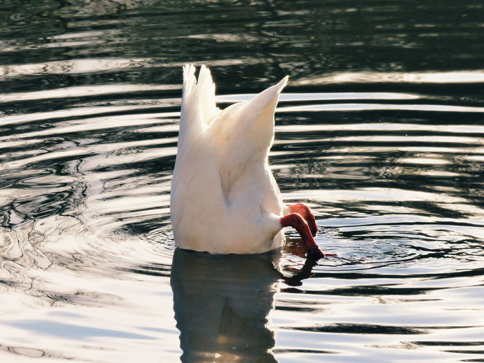 Close-up of water