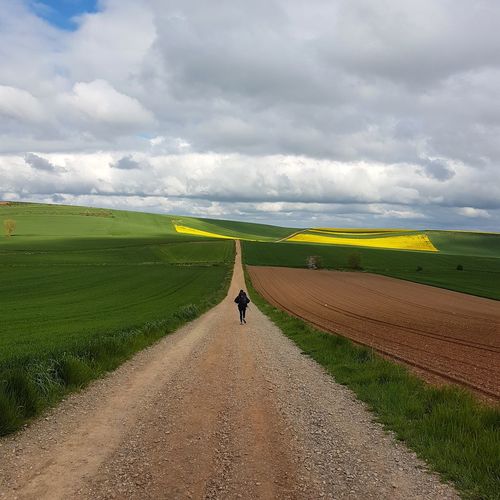 Rear view of man walking on road amidst field against cloudy sky
