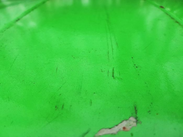 Close-up of snake on green leaf