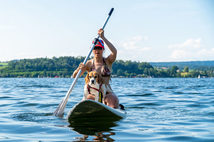 Adult woman on paddle board with male beagle, wallersee, austria.