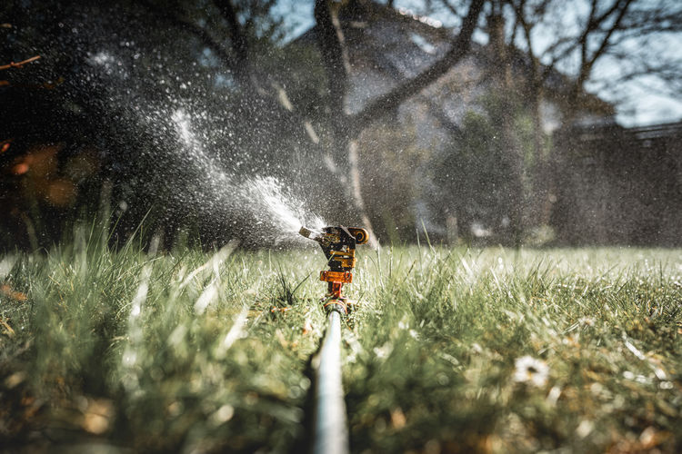 Closeup of sprinkler watering the garden