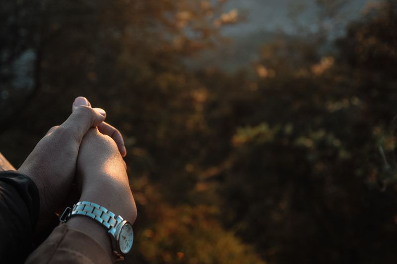 Cropped image of couple holding hands in forest