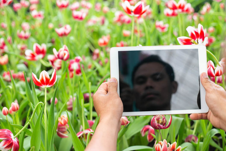 Midsection of person holding flowering plants
