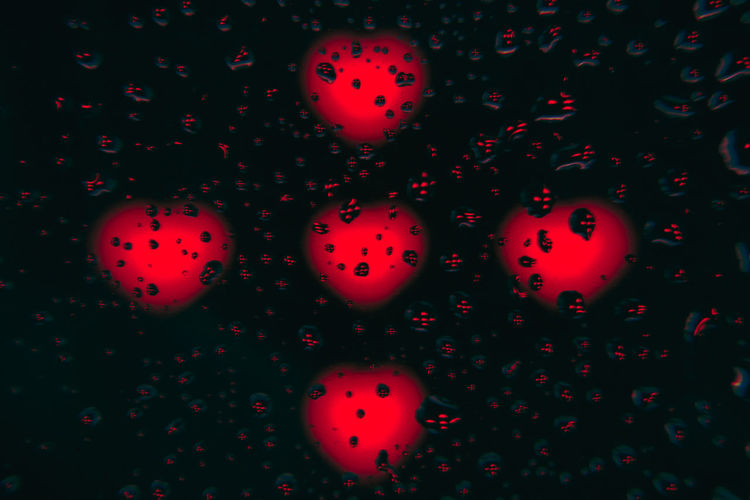 Full frame shot of red berries