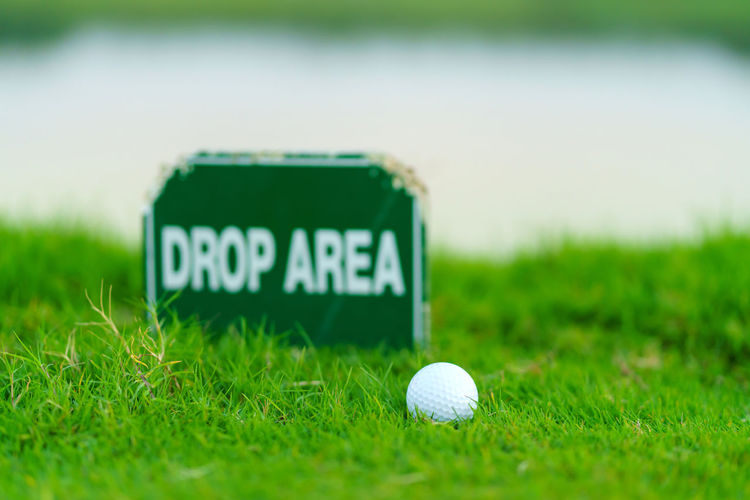 Golf ball on grassy field
