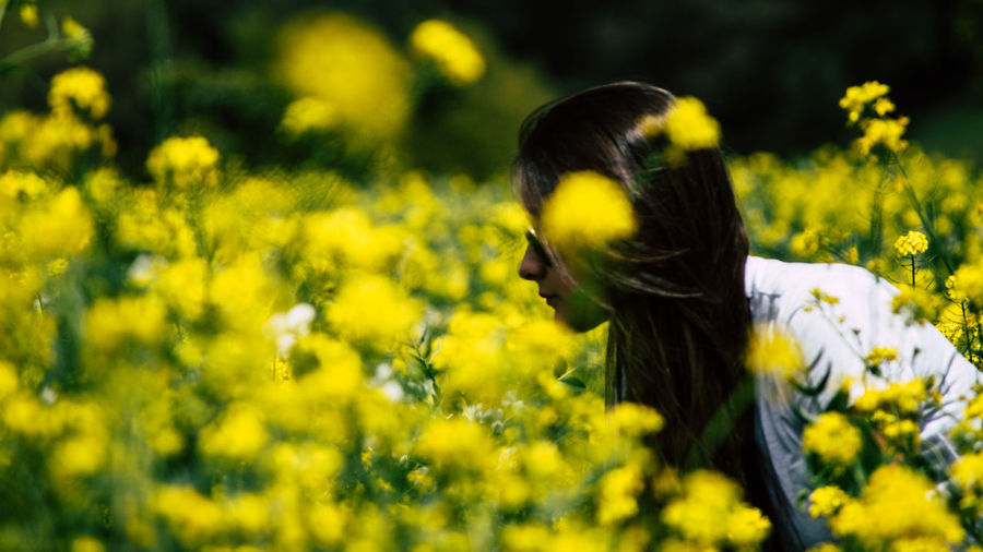 Close-up of woman in yellow flower field