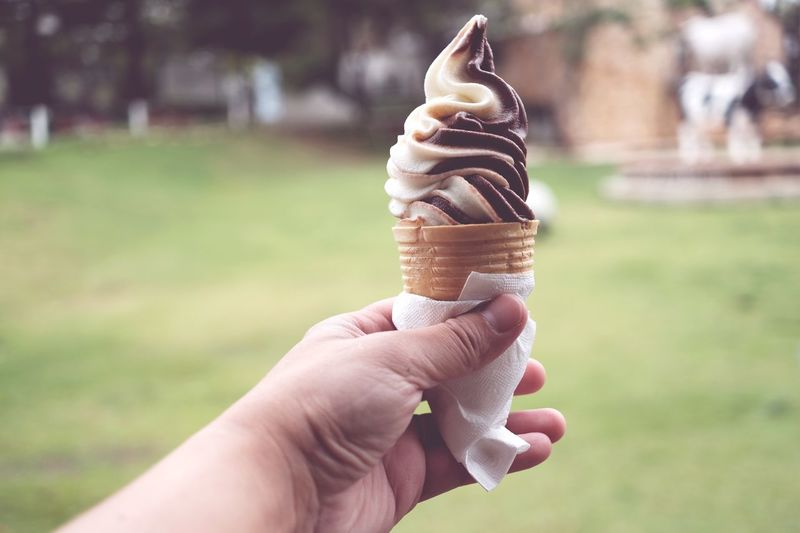 Close-up of hand holding ice cream in park