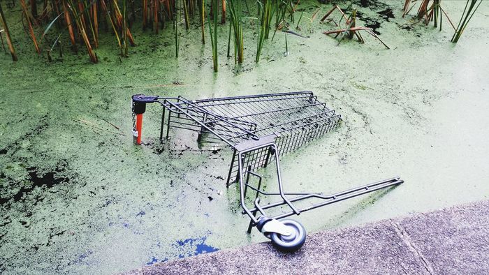 Shopping cart in pond