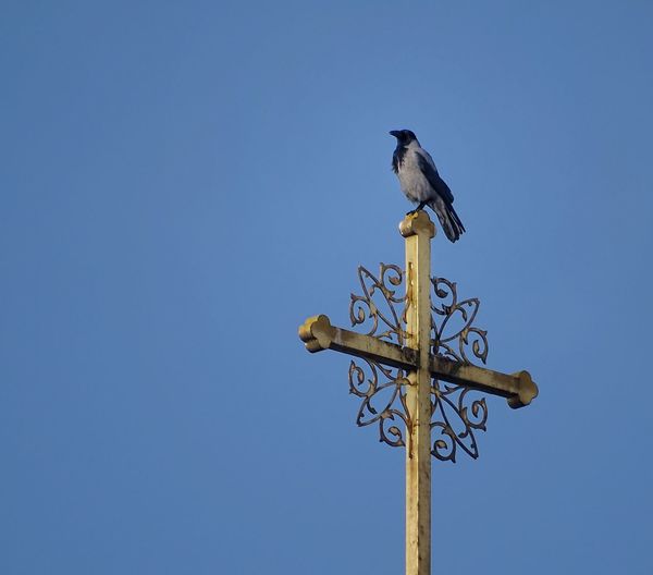 Low angle view of weather vane against clear blue sky