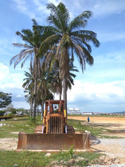 Palm trees at beach against sky