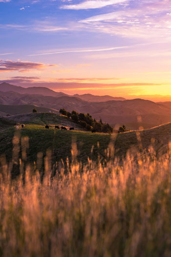 Scenic view of mountains against sky during sunset