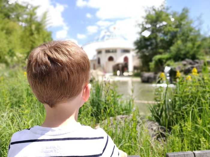 Rear view of boy against plants in sunny day