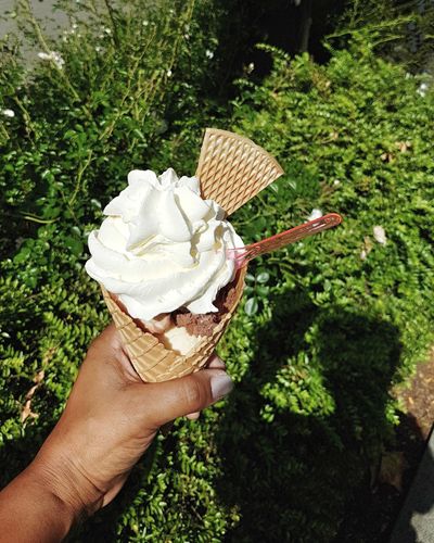 Hand holding ice cream cone against plants