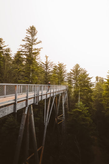 Man standing on bridge in forest against clear sky