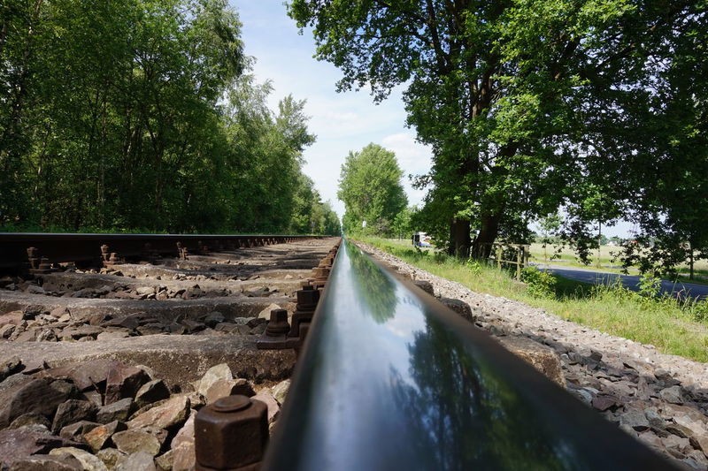 Surface level of railroad track against trees