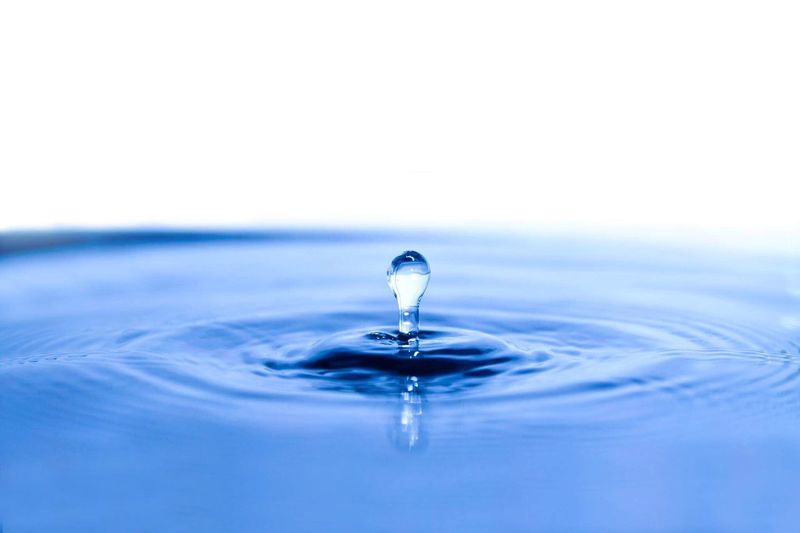 Close-up of water drop