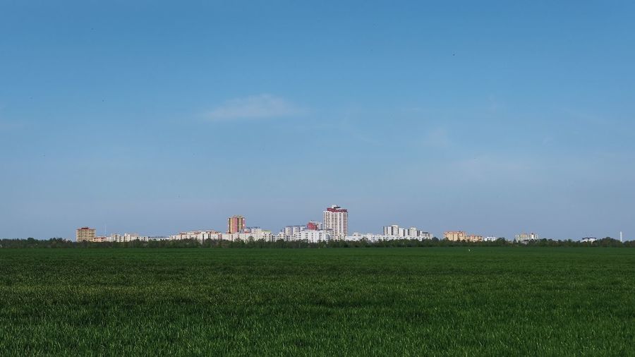 Scenic view of agricultural field against sky