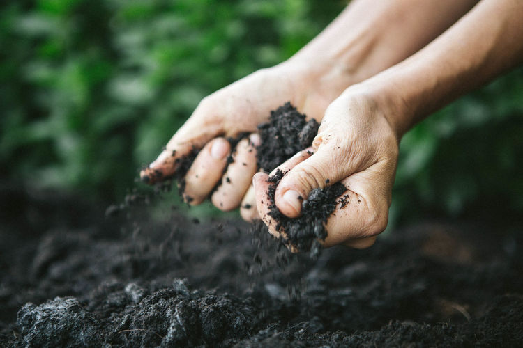 Close-up of man holding soil