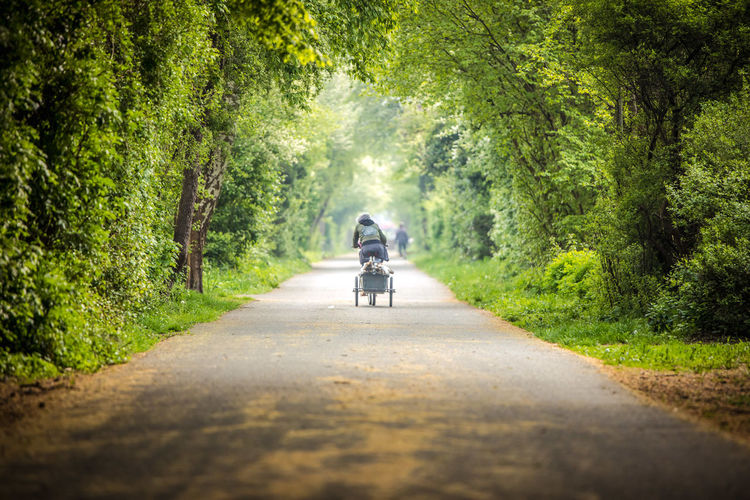 Rear view of person riding bicycle on road in forest