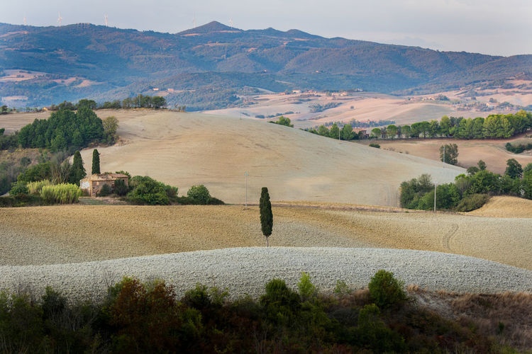 Scenic view of field against mountains