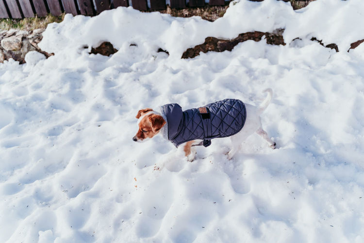 High angle view of child playing on snow