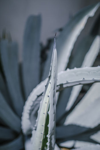 Close-up of spiral staircase