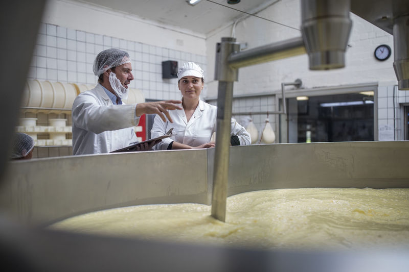 Cheese factory workers controlling curdling process