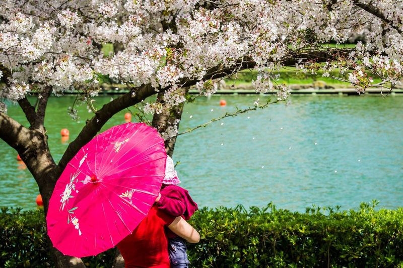 Woman standing with her child near cherry tree at lakeside