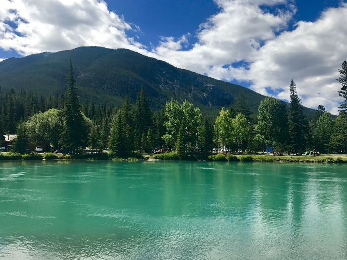 Scenic view of lake by trees against sky