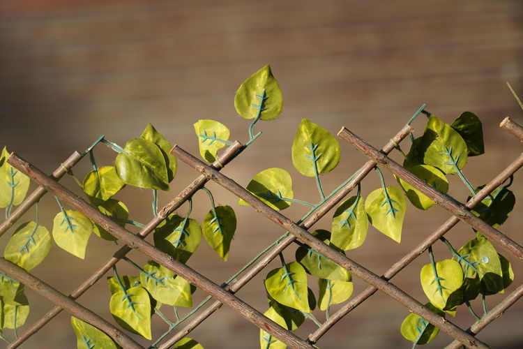 Close-up of artificial plastic leaves for decoration on fence