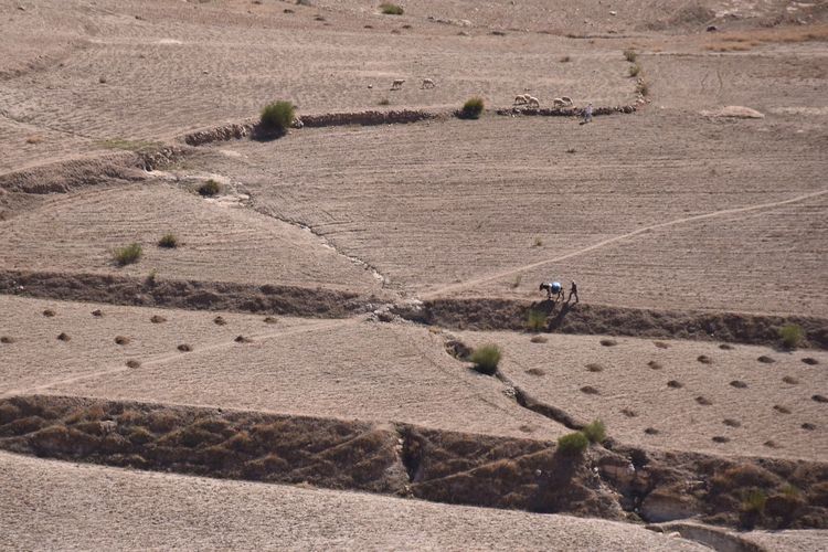 High angle view of man walking on desert