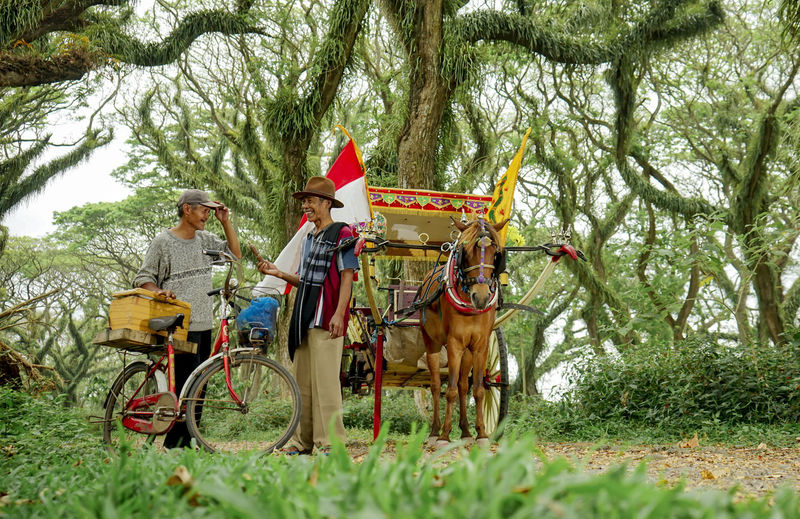 View of people riding horse cart in forest