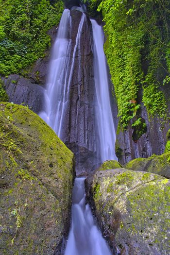 Scenic view of waterfall in forest