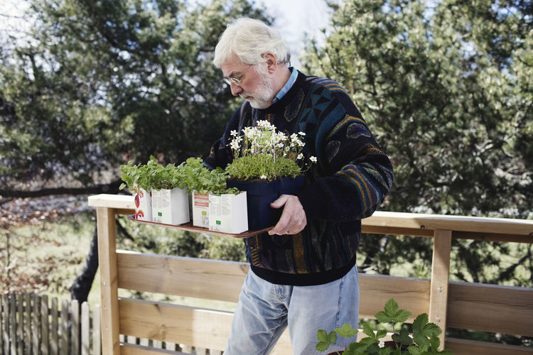 Senior man carrying seedling tray while standing in yard